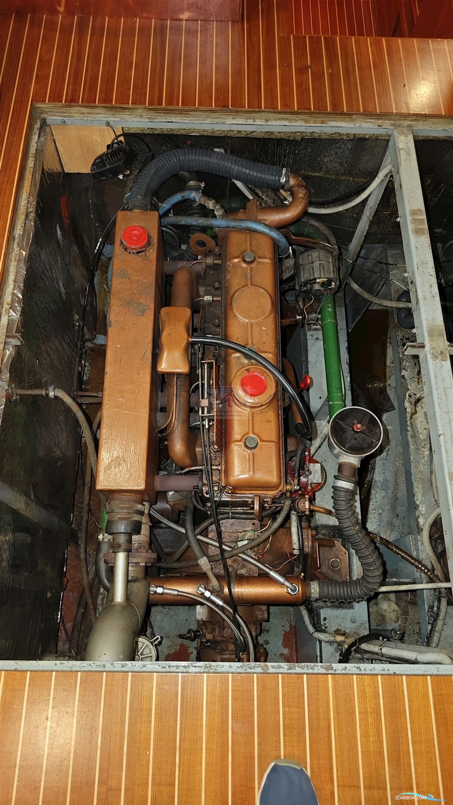 Valk kruiser 14m
