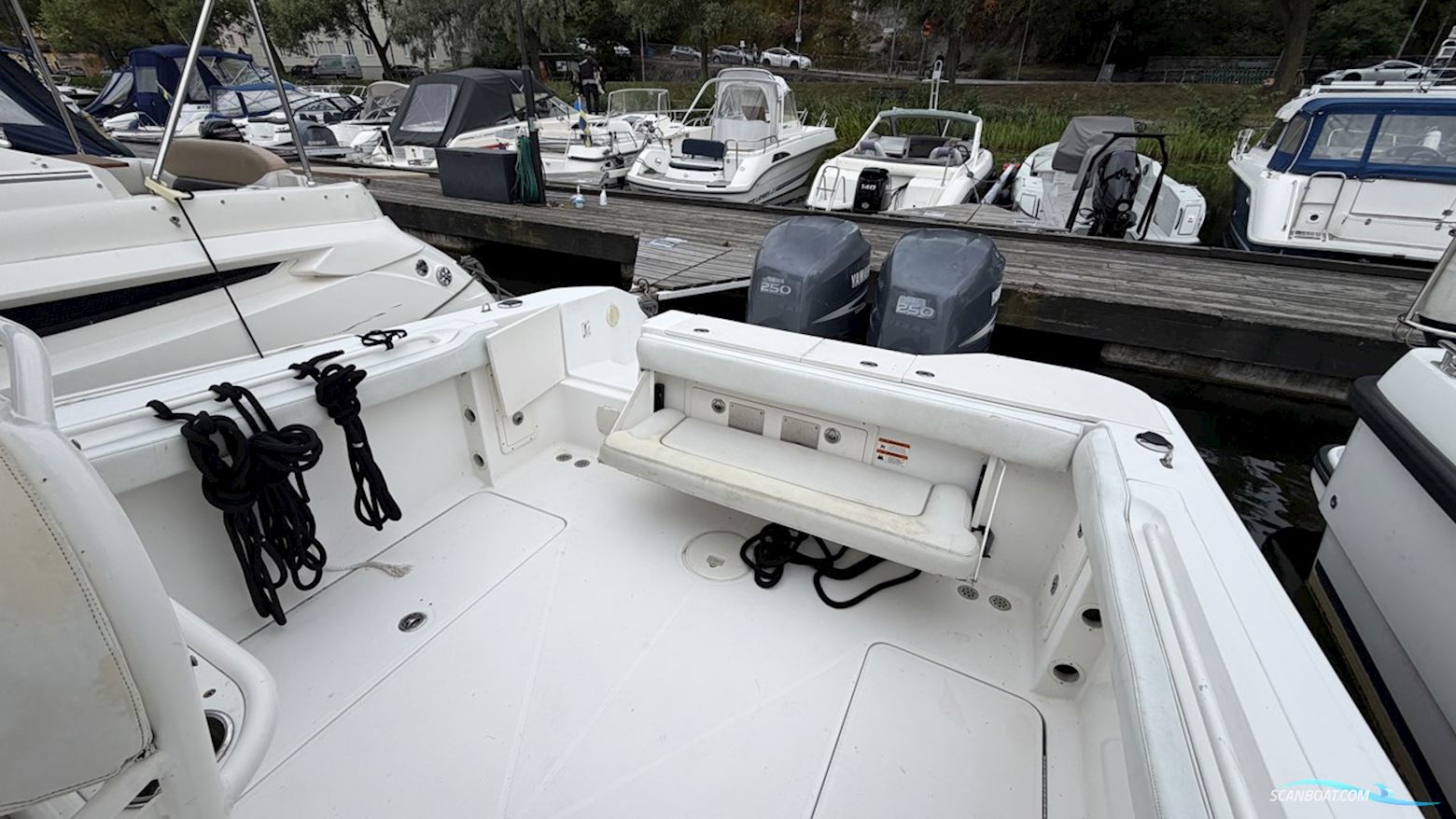 Wellcraft 302 SCARAB SPORT