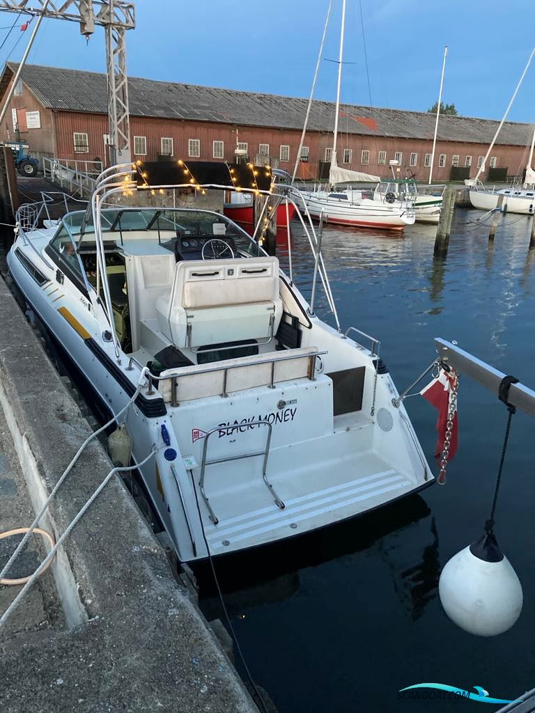 Wellcraft Antiqua 29