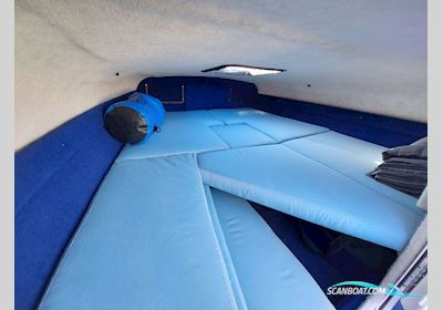 Wellcraft Excel 21L Motorboot 1995, mit Volvo Penta motor, Niederlande