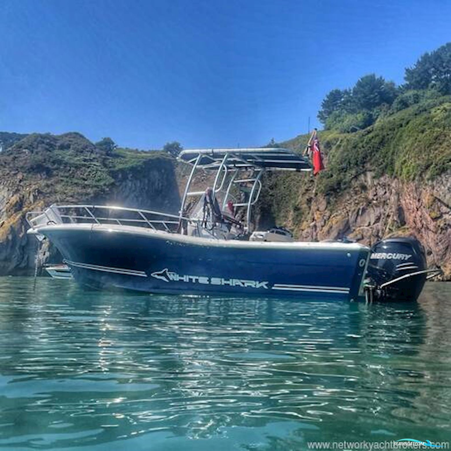 White Shark 226