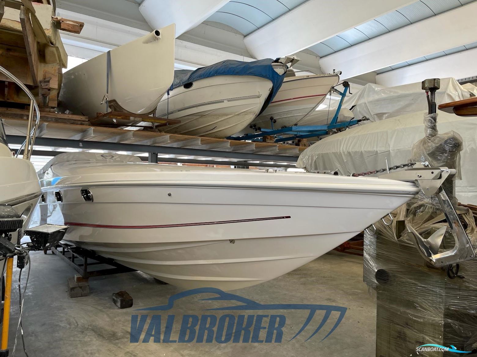 Abbate Tullio 41 Elite