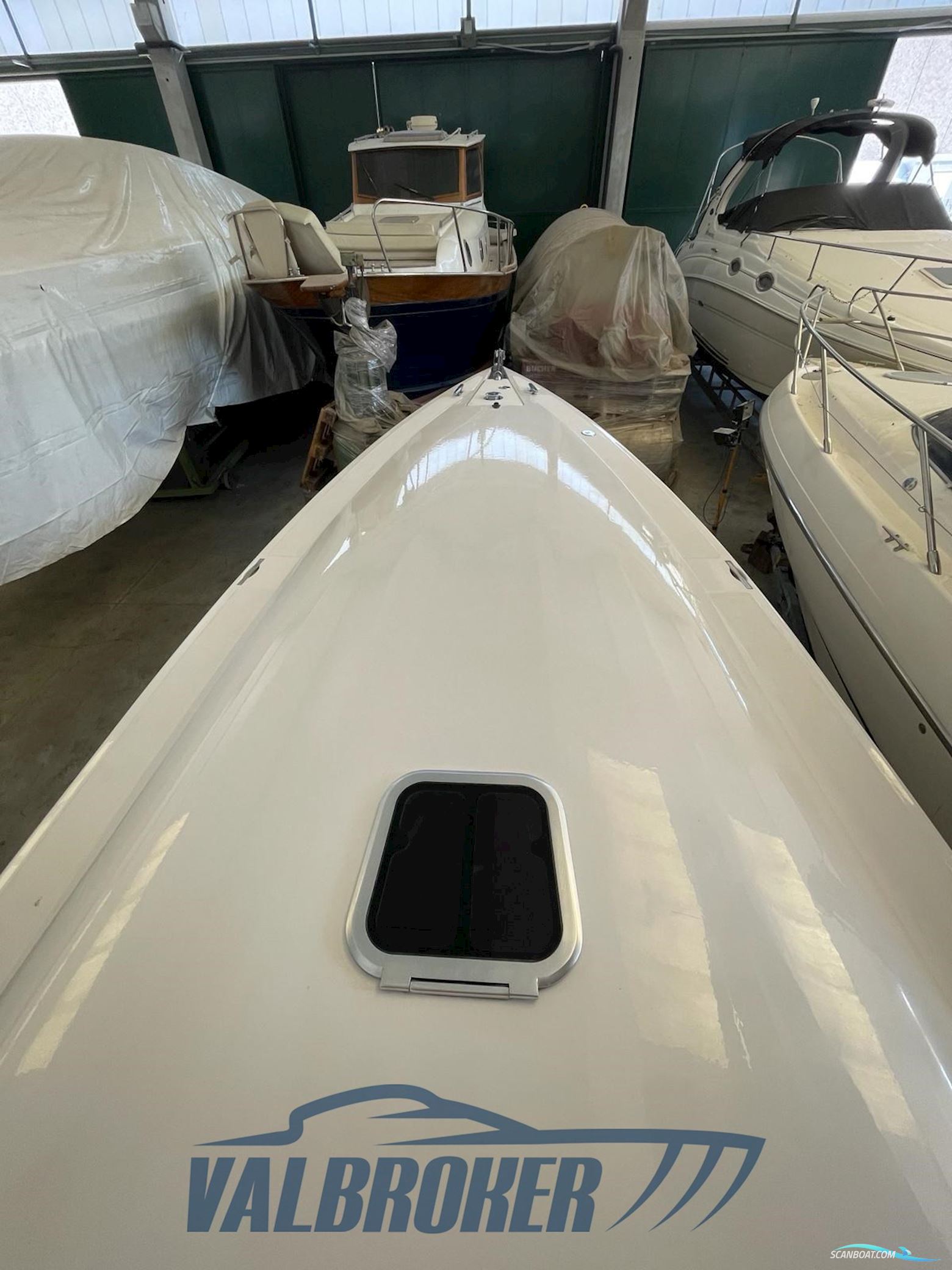 Abbate Tullio 41 Elite