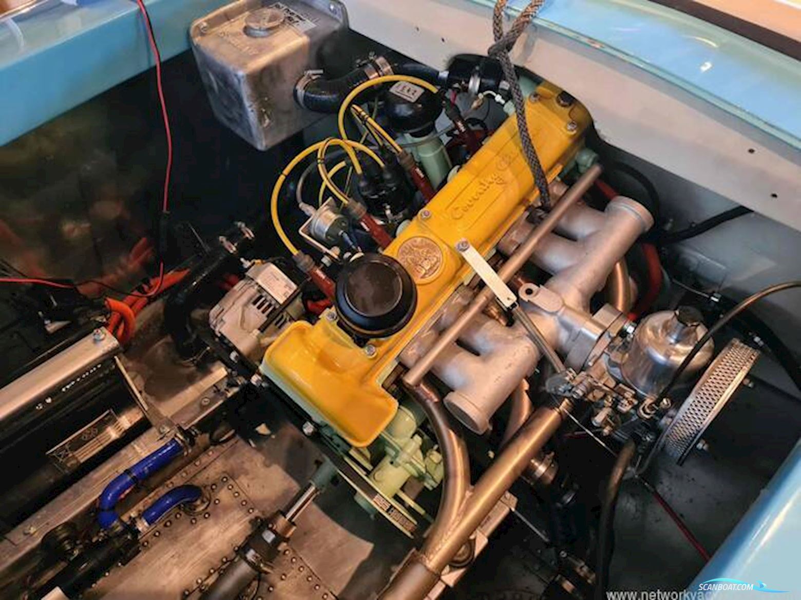 Albatross Continental