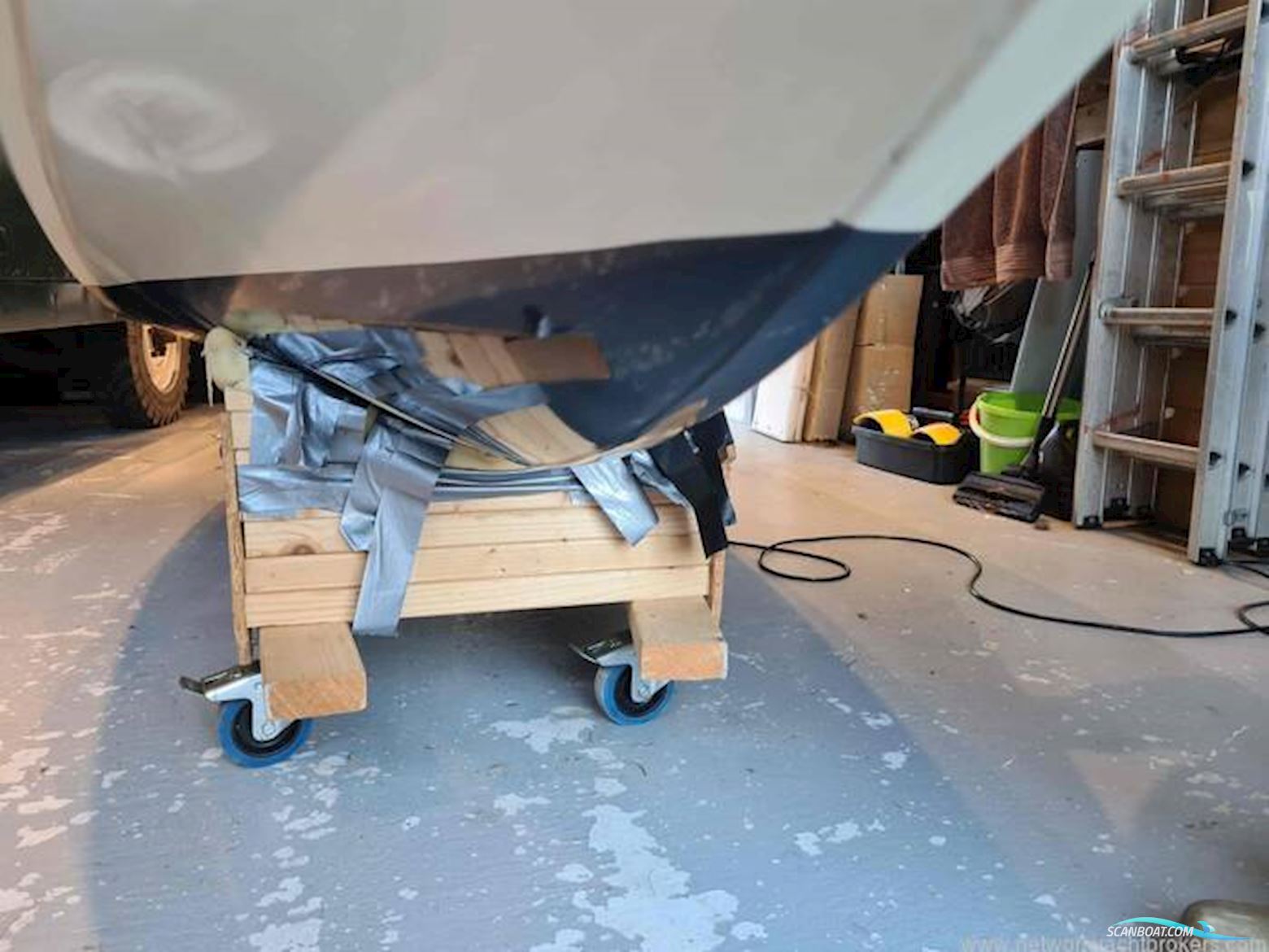 Albatross Continental