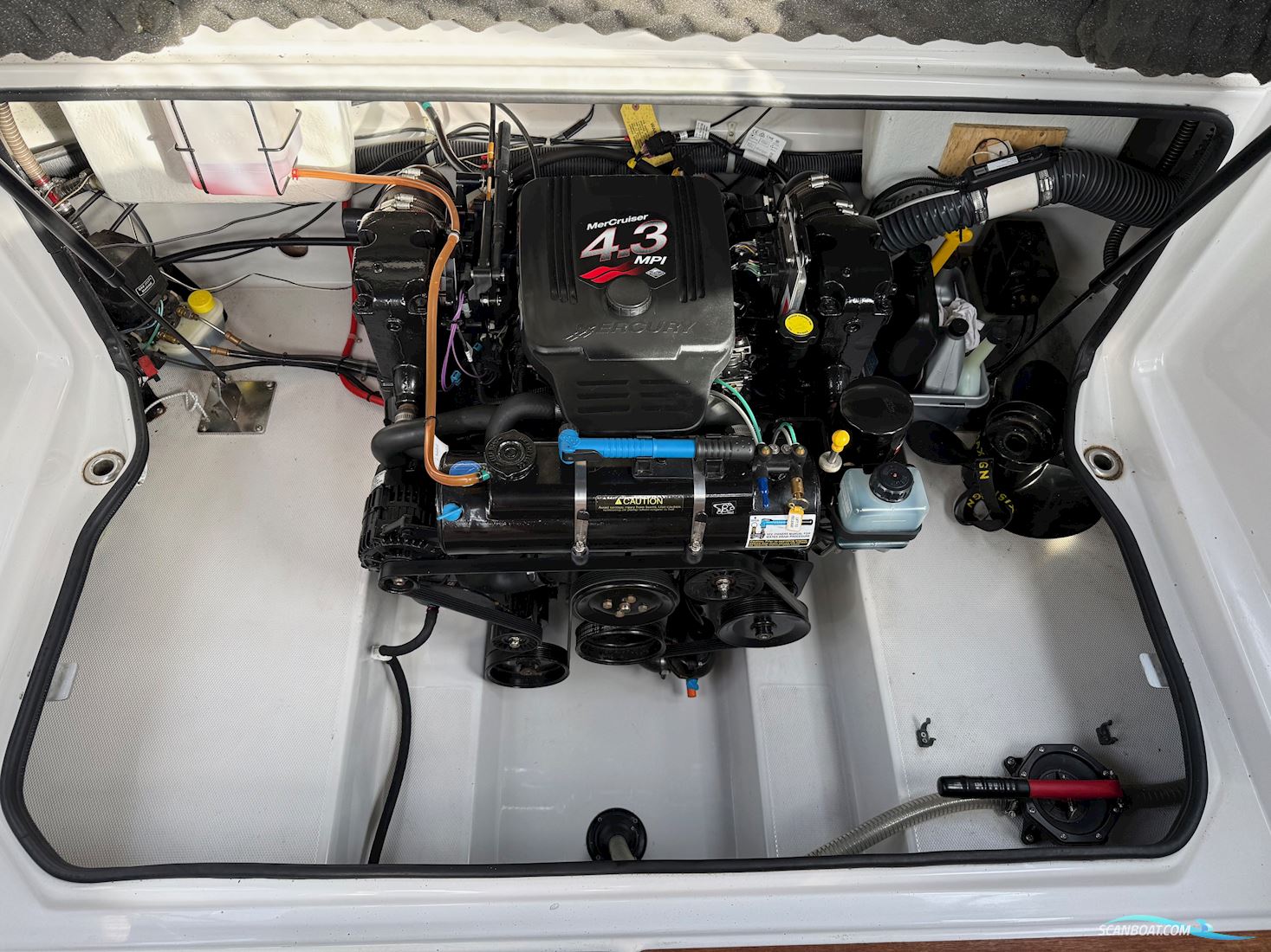 Askeladden 645 Beetle