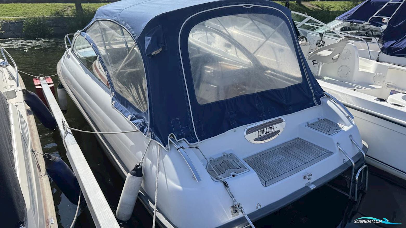 ASKELADDEN 645 BEETLE