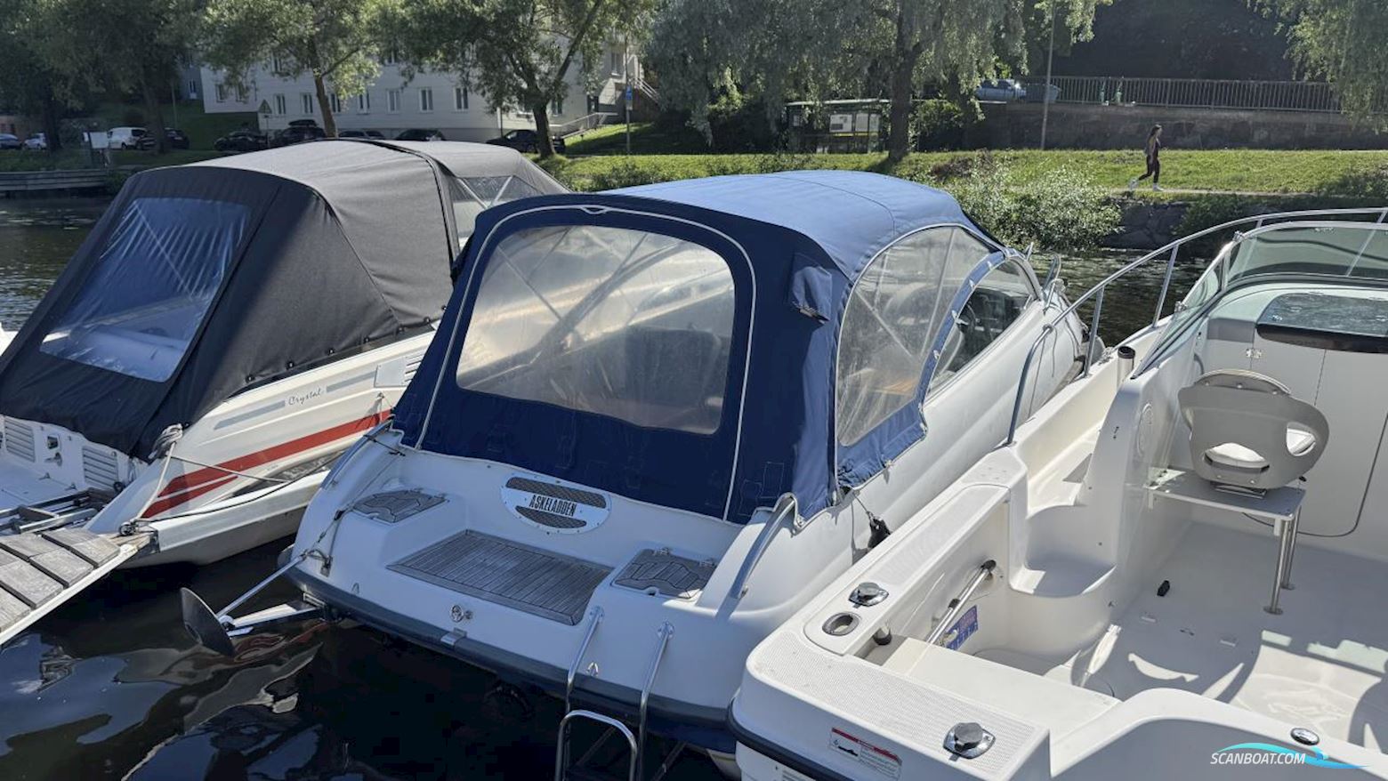 ASKELADDEN 645 BEETLE