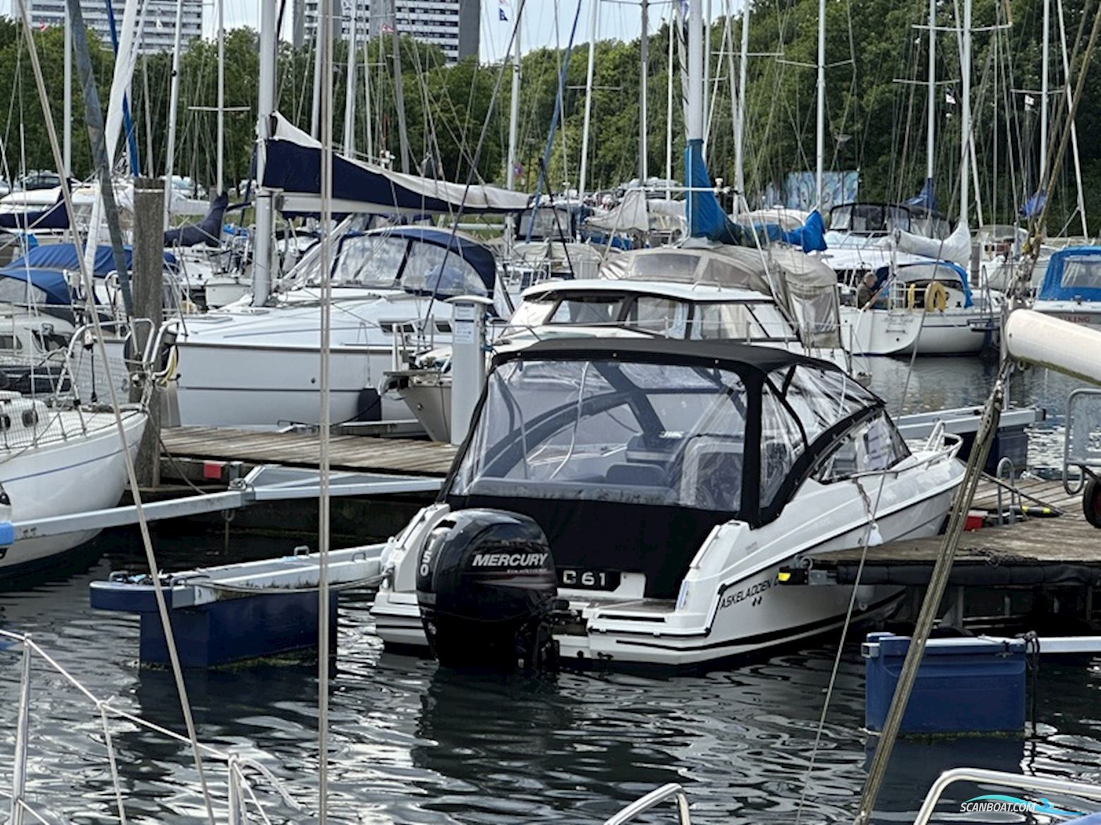 Askeladden C61 Cruiser