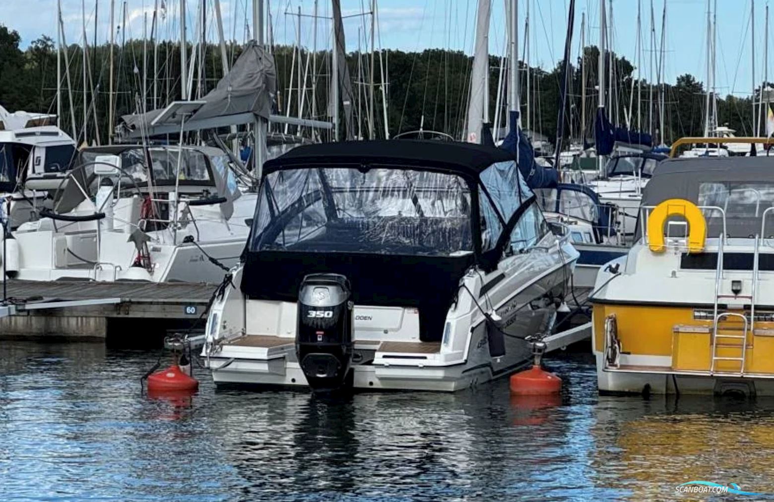 Askeladden C83 Cruiser