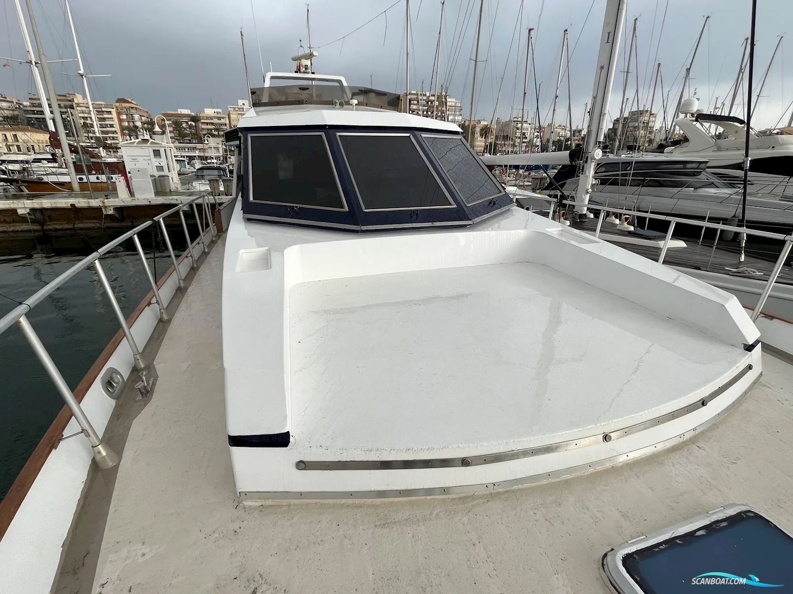 Astondoa 185