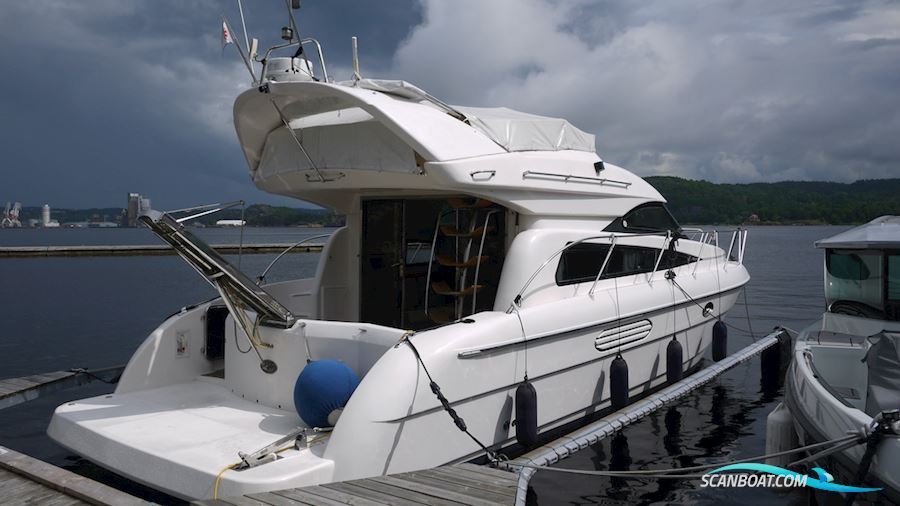 Astondoa 39