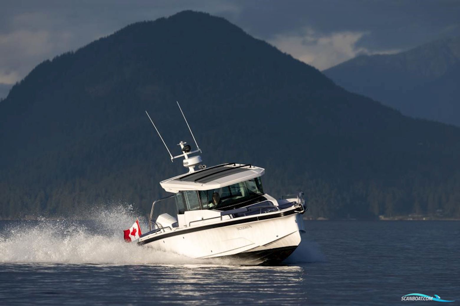 AXOPAR 29 Cross Cabin