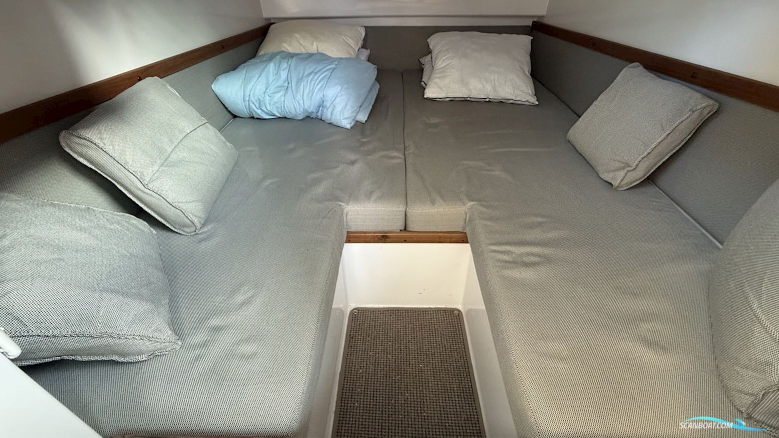 Axopar 37 Aft Cabin