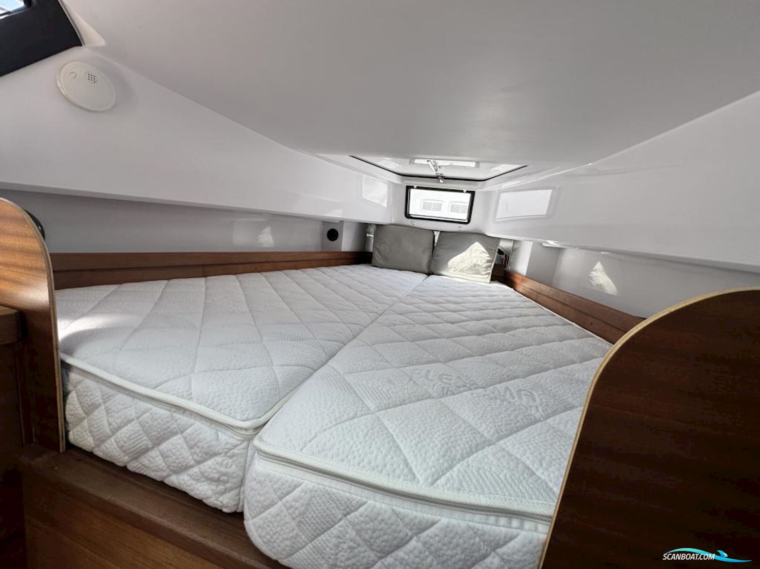AXOPAR 37 Cross Cabin