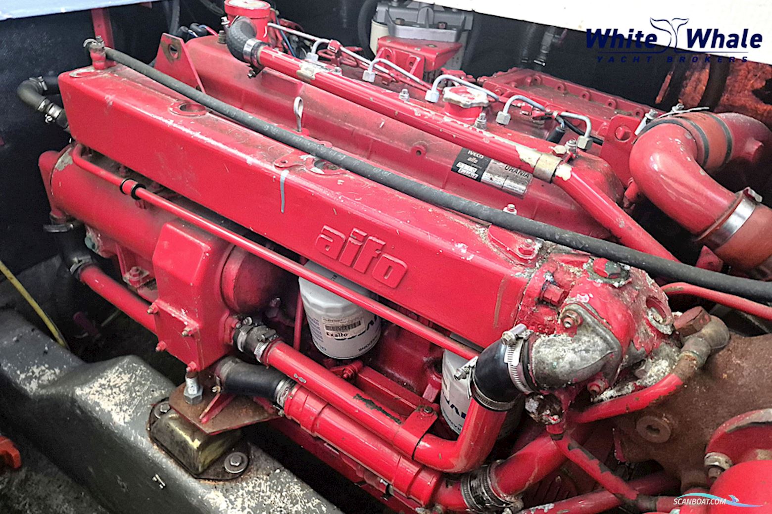 Azimut 37 Fly