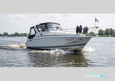 Baja 290 Motorboten 1994, The Netherlands