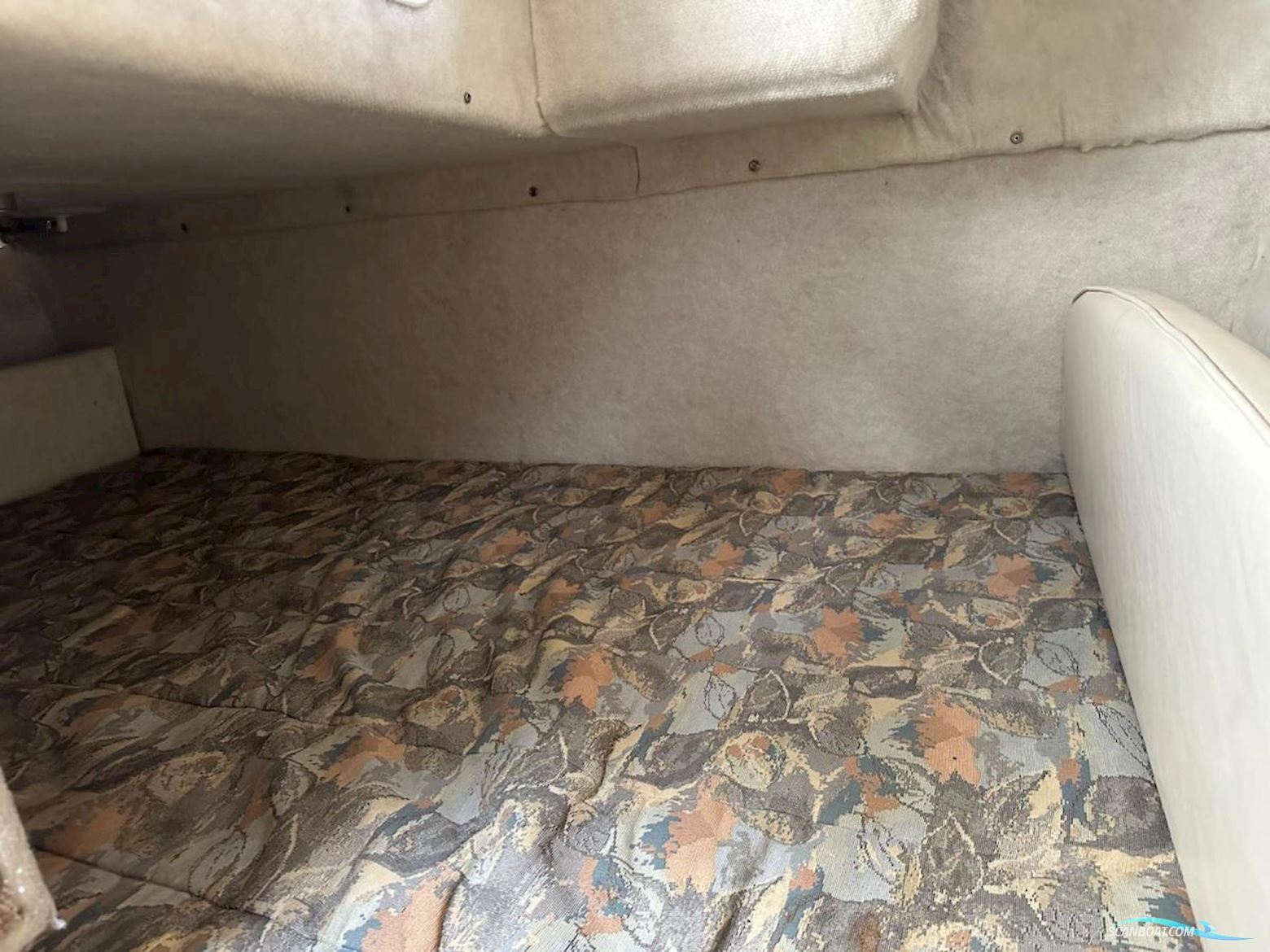 Bayliner  245 SB Ciera 2455 Sunbridge