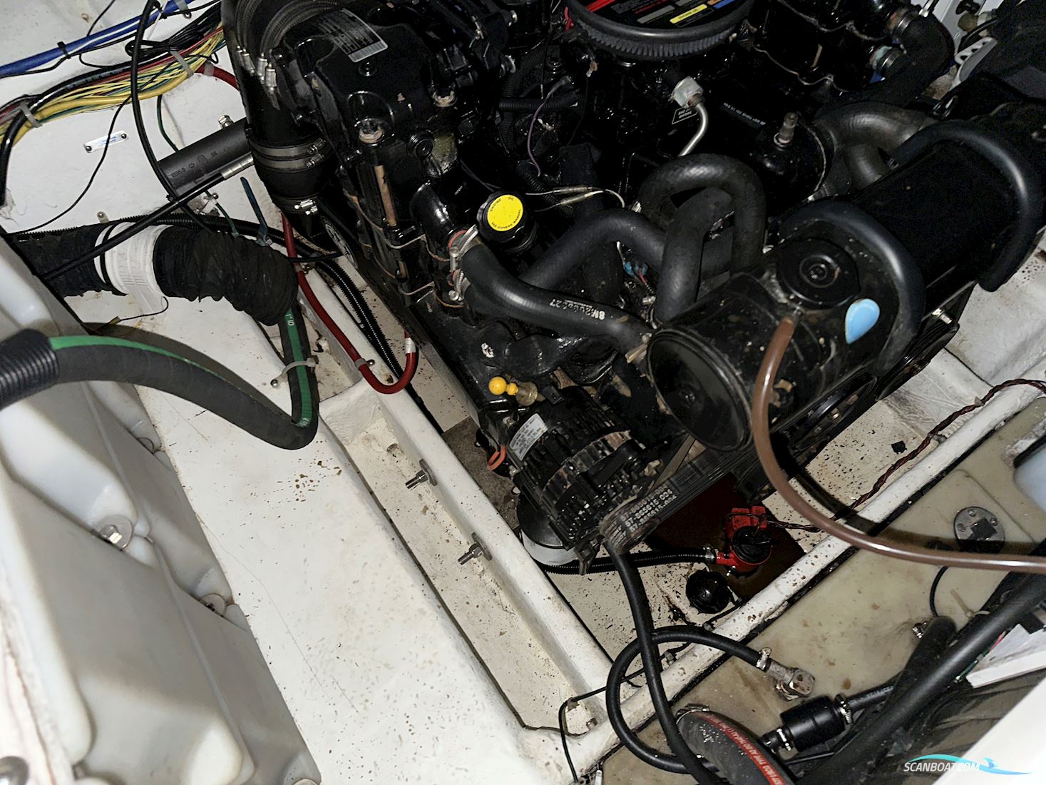 Bayliner 245 Ciera. Projekt båd. 