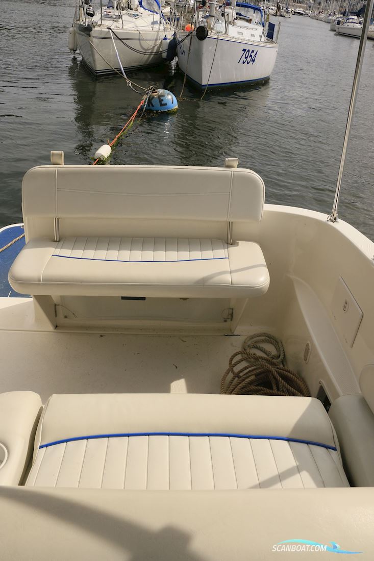 Bayliner 245