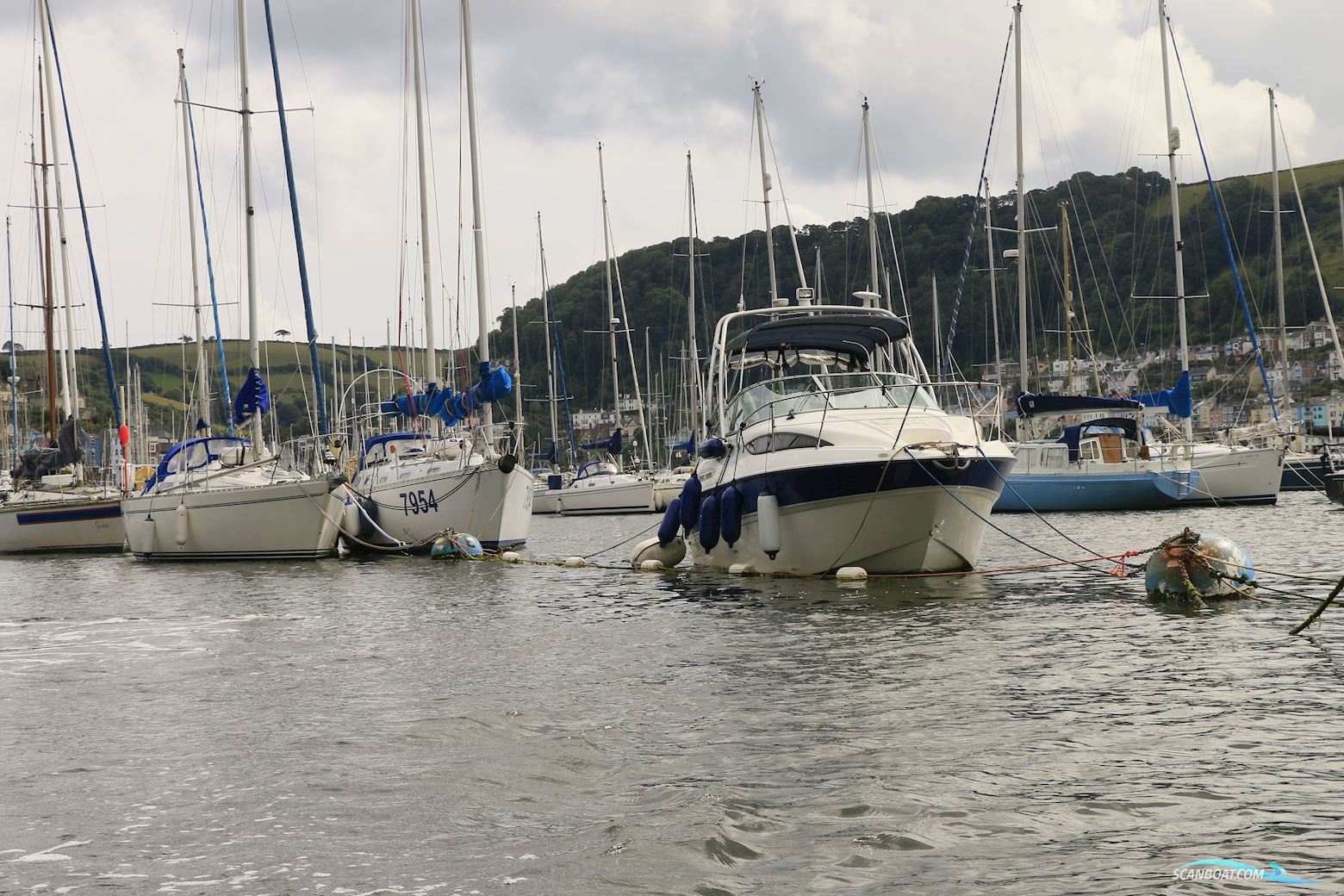Bayliner 245