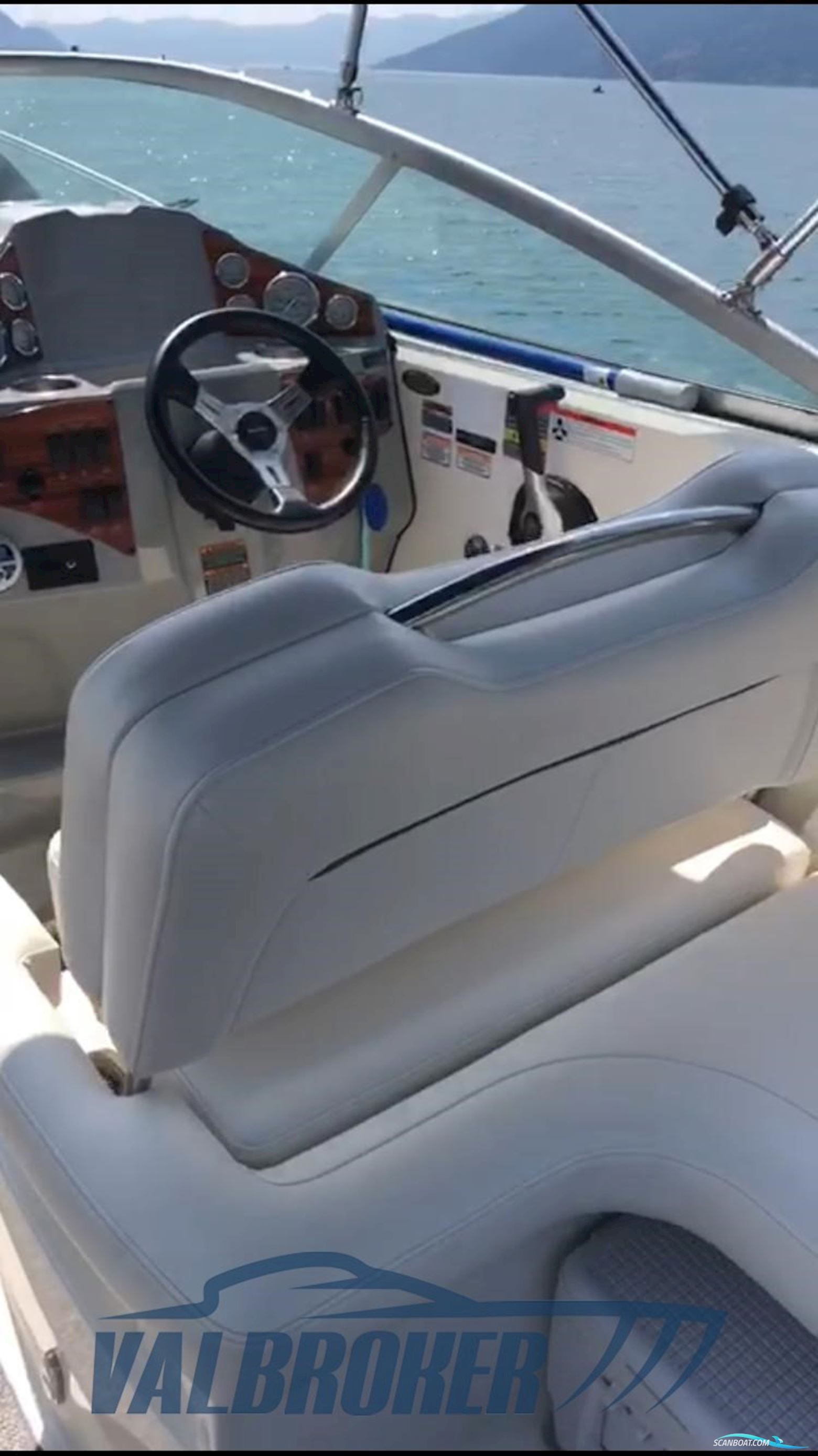 Bayliner 245