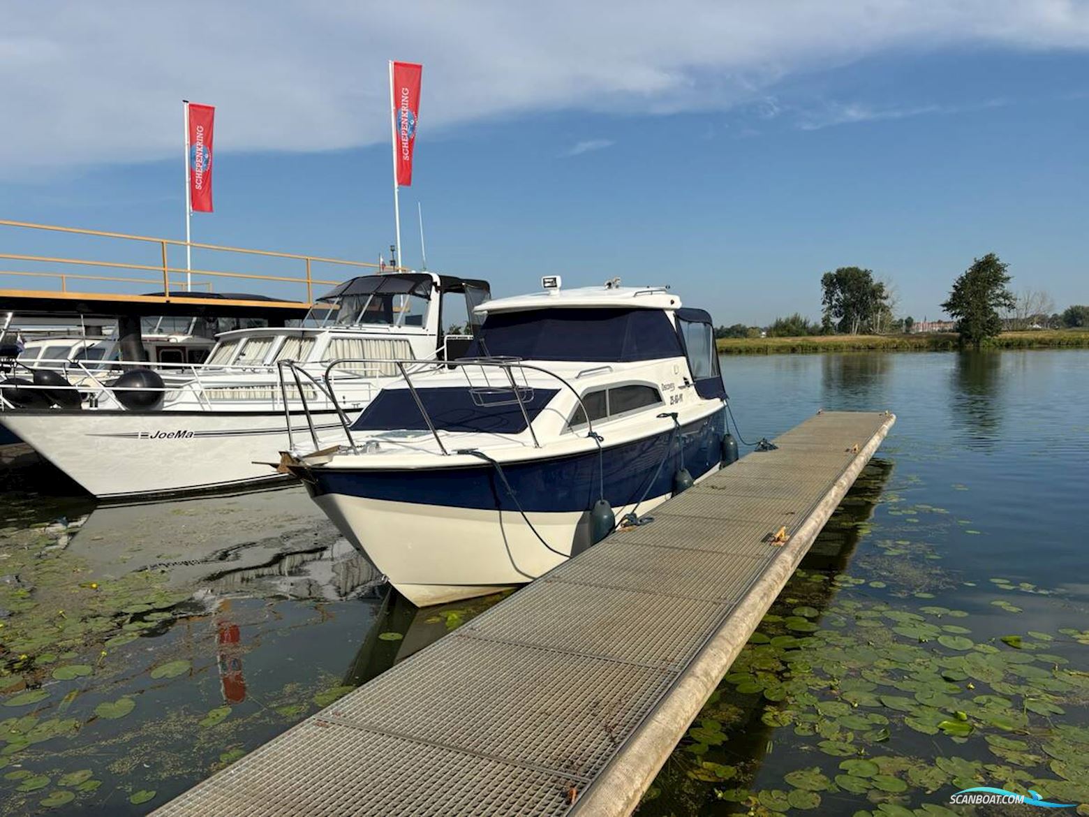 Bayliner 246 Discovery