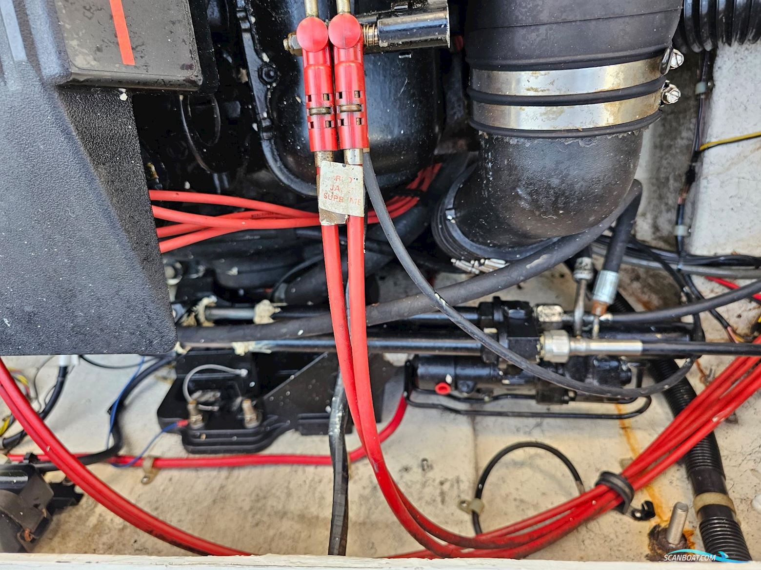 Bayliner 2556 Flybridge