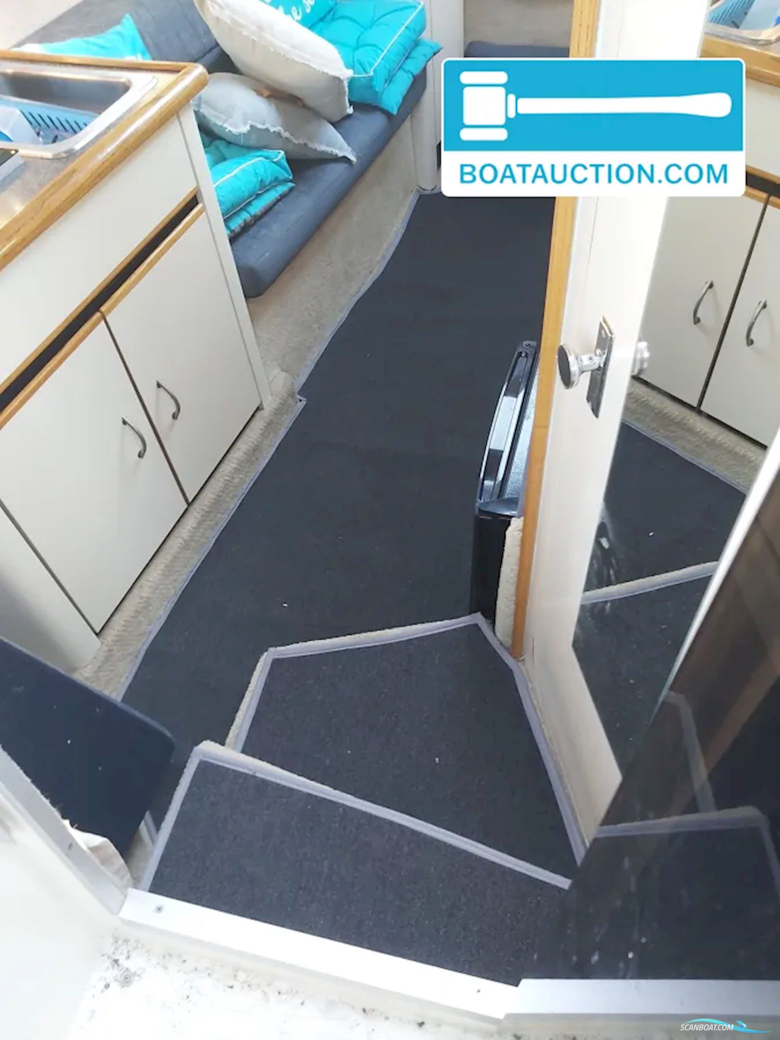 Bayliner 2655 wide body