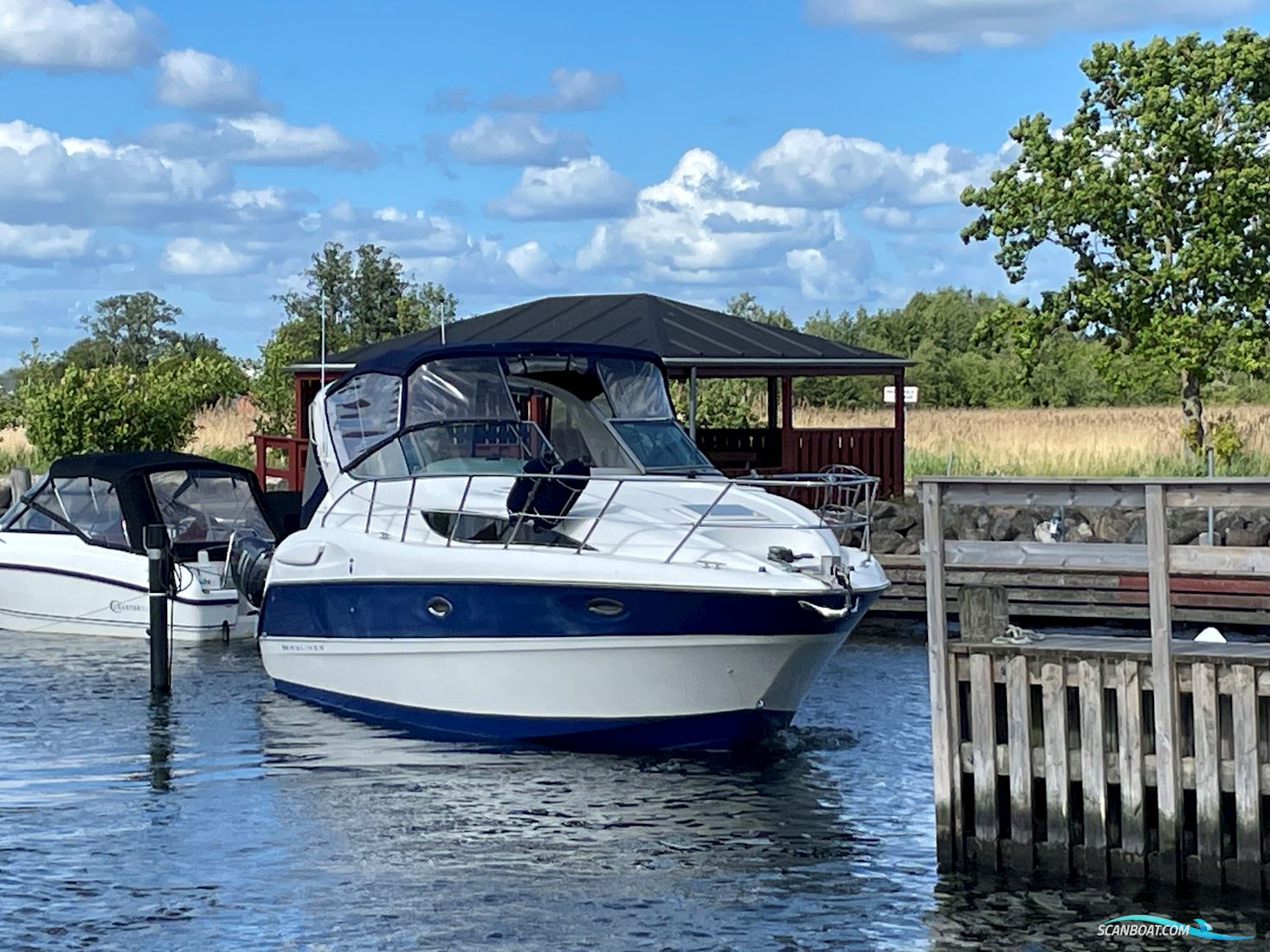 Bayliner 305 Ciera