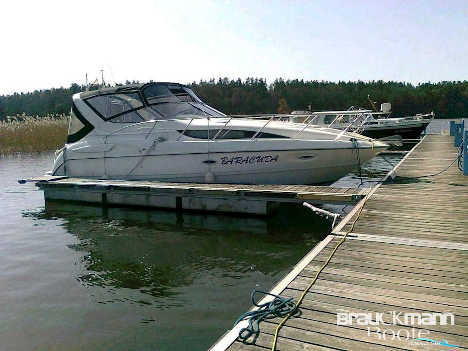 Bayliner 3055 SB Motorboten 1999, met Mercruiser motor, Duitsland