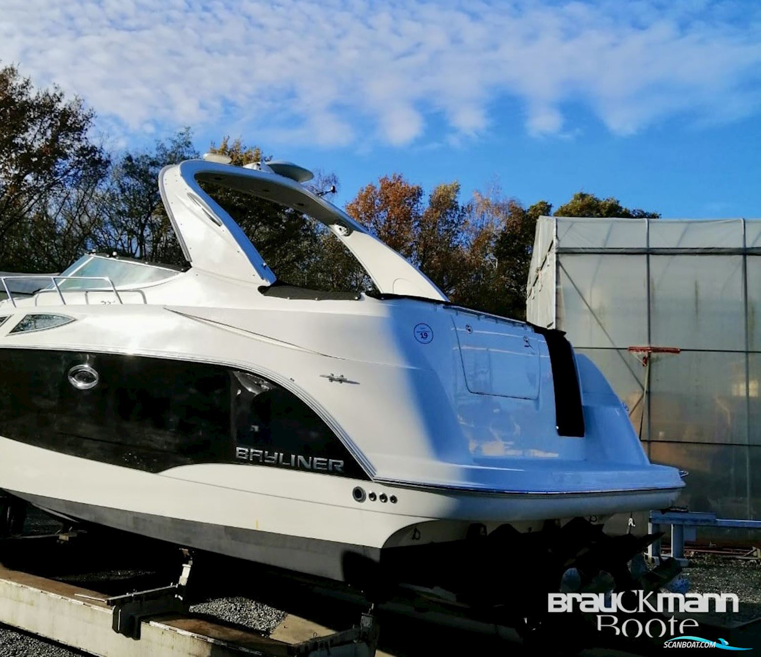 Bayliner 335