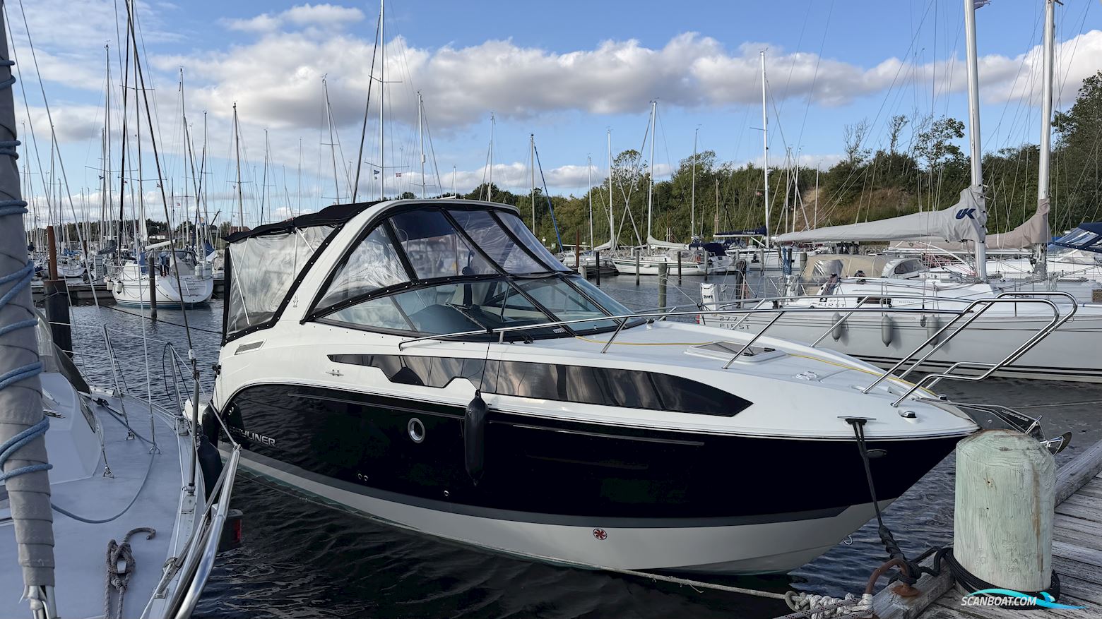 Bayliner Ciera 8