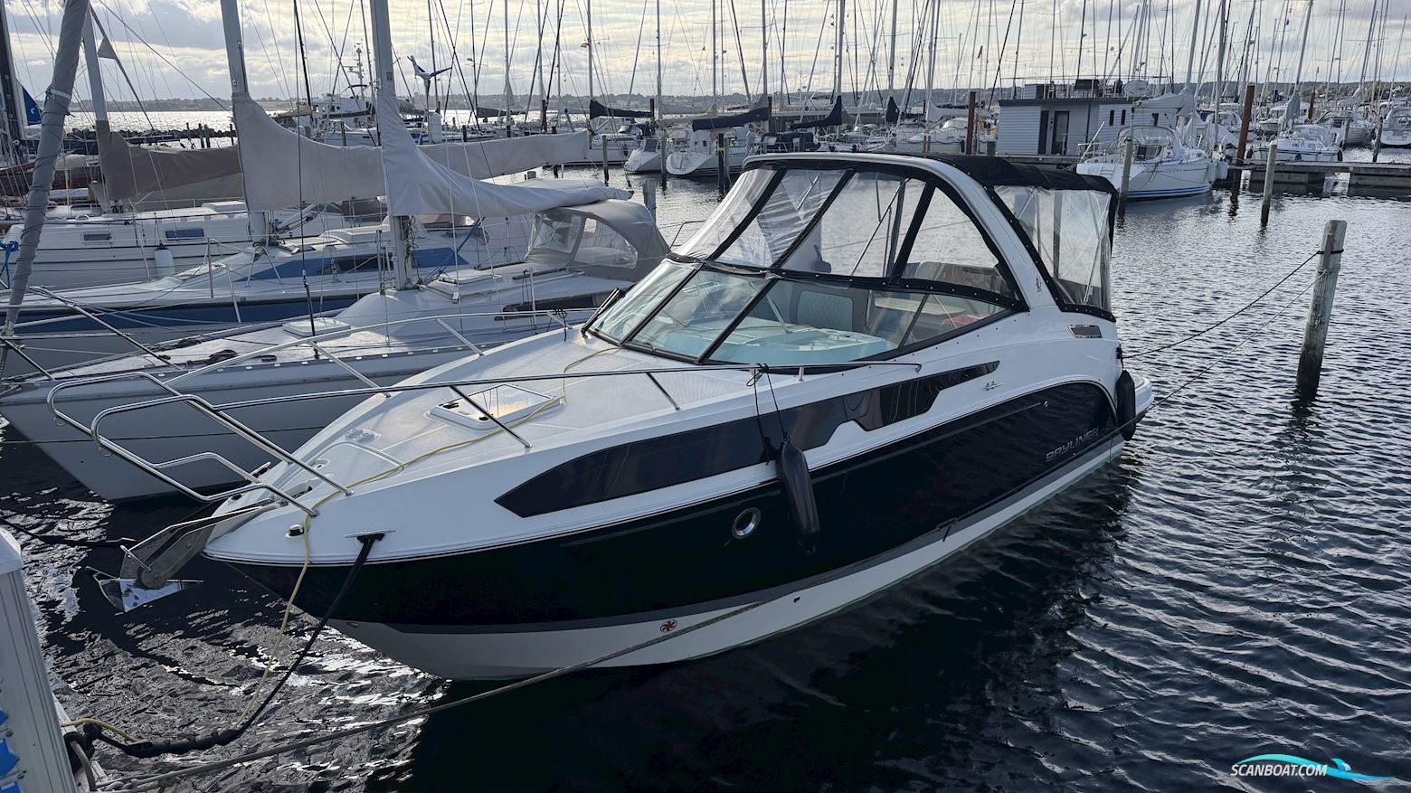 Bayliner Ciera 8