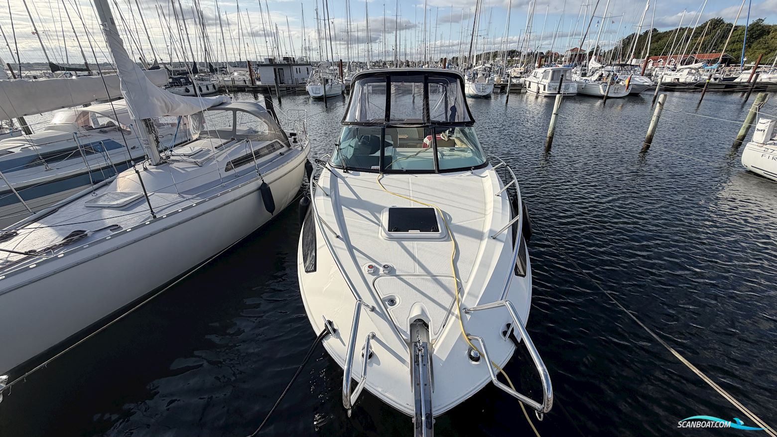 Bayliner Ciera 8