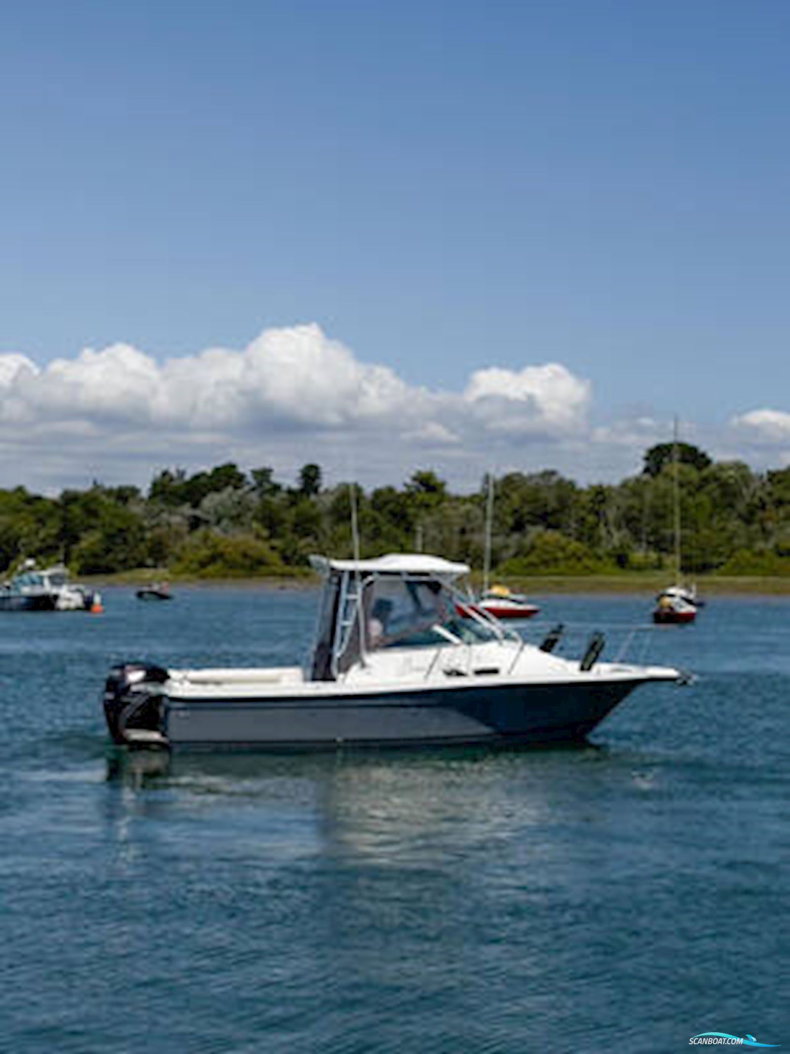 Bayliner Trophy 2102 walkaround