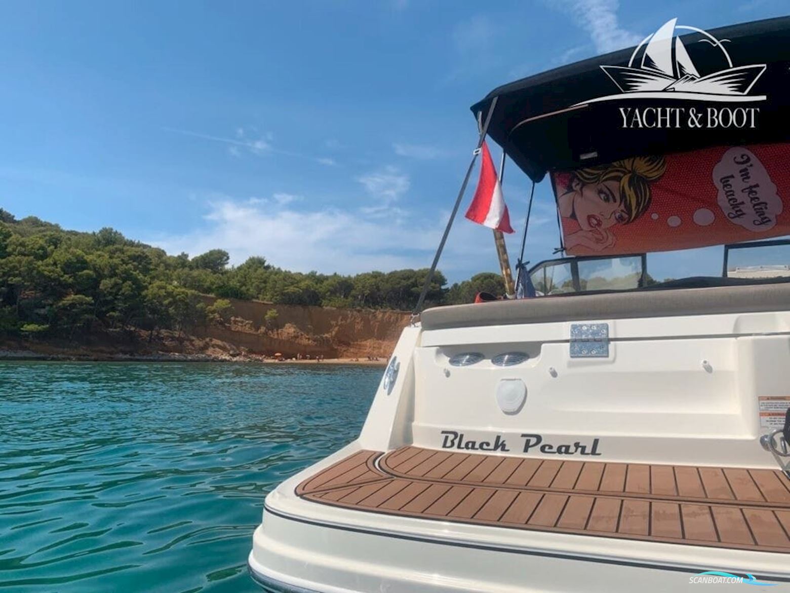 Bayliner VR6 C