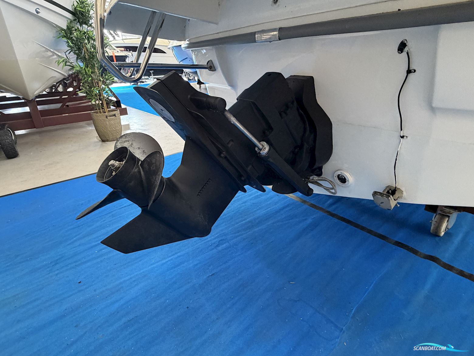 Bella 600 DC