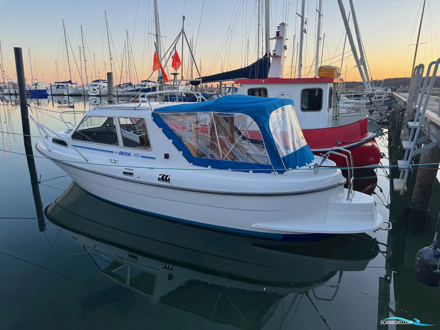 Bella 702