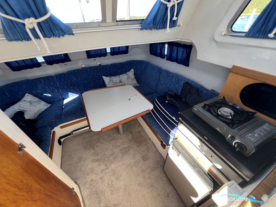 Bella 800 Delphin