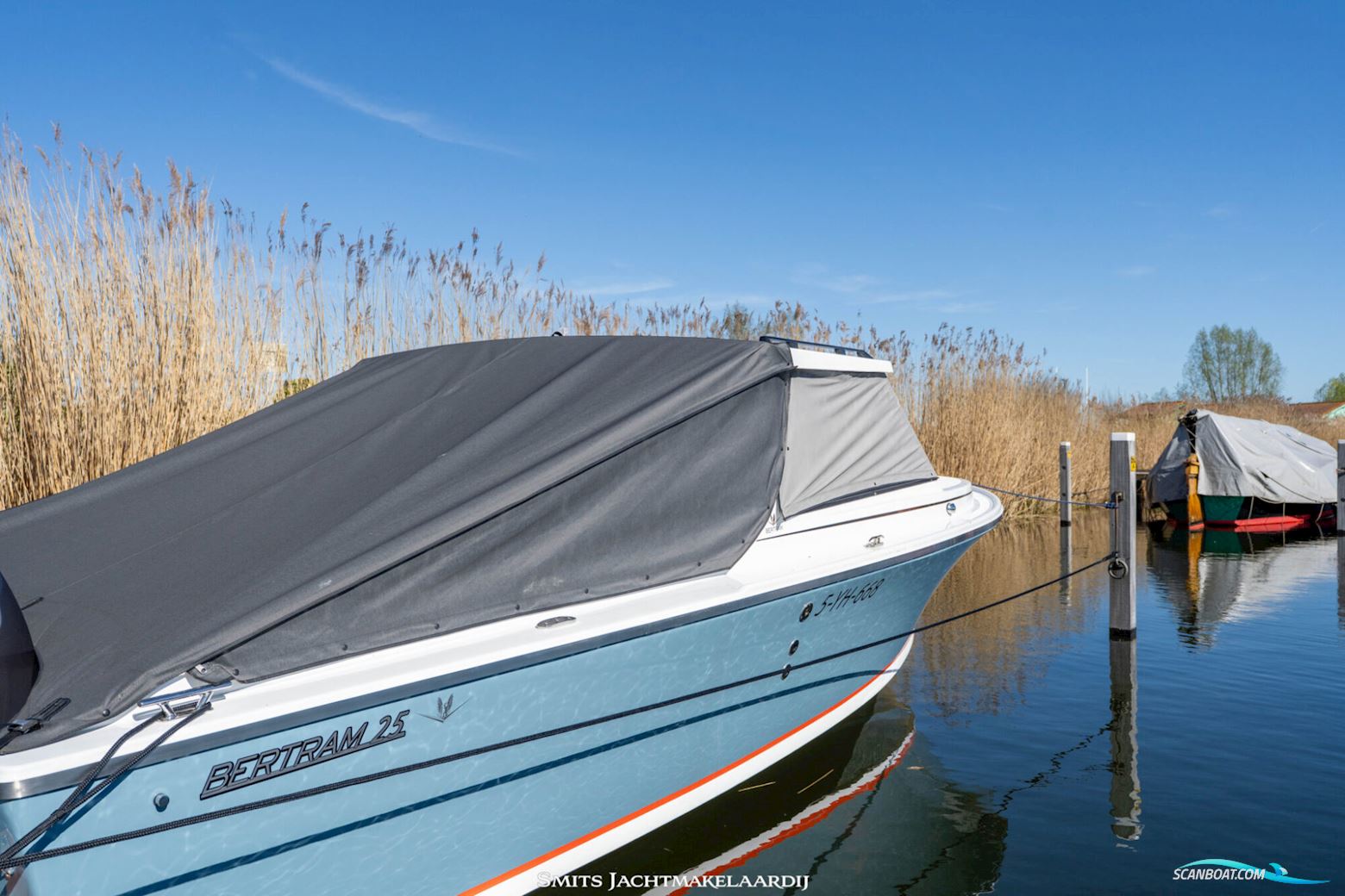Bertram 25