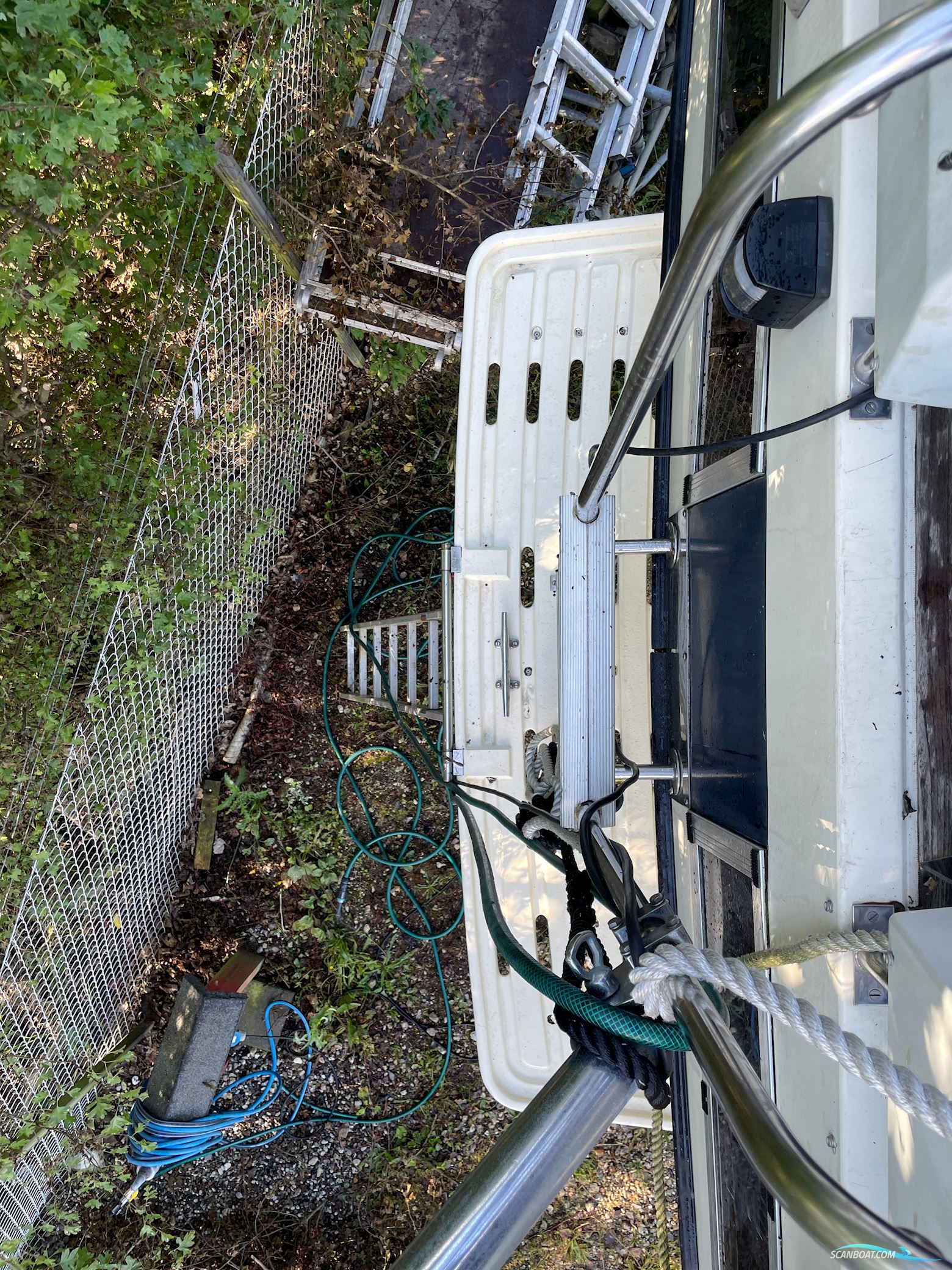 BIRCHWOOD 37 President