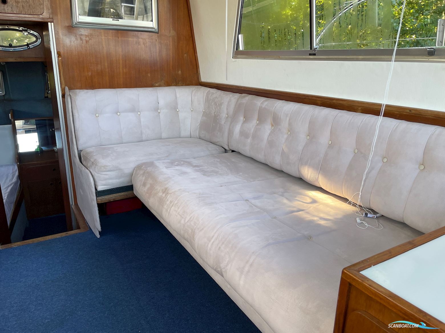 BIRCHWOOD 37 President