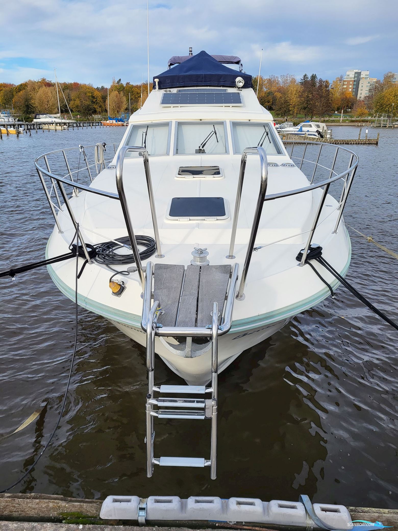 Birchwood ts 37 Höst pris innan upptagning