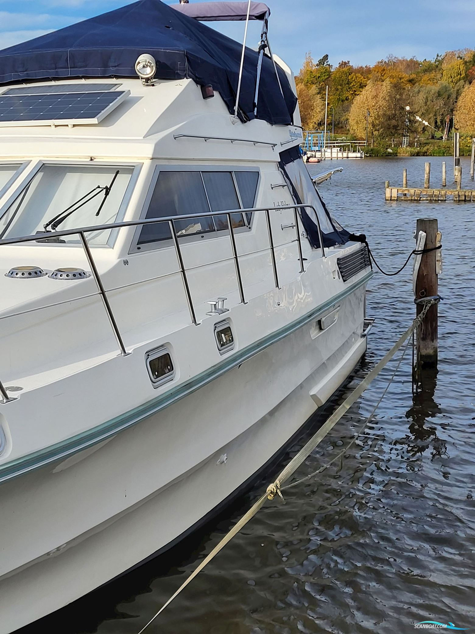 Birchwood ts 37 Höst pris innan upptagning