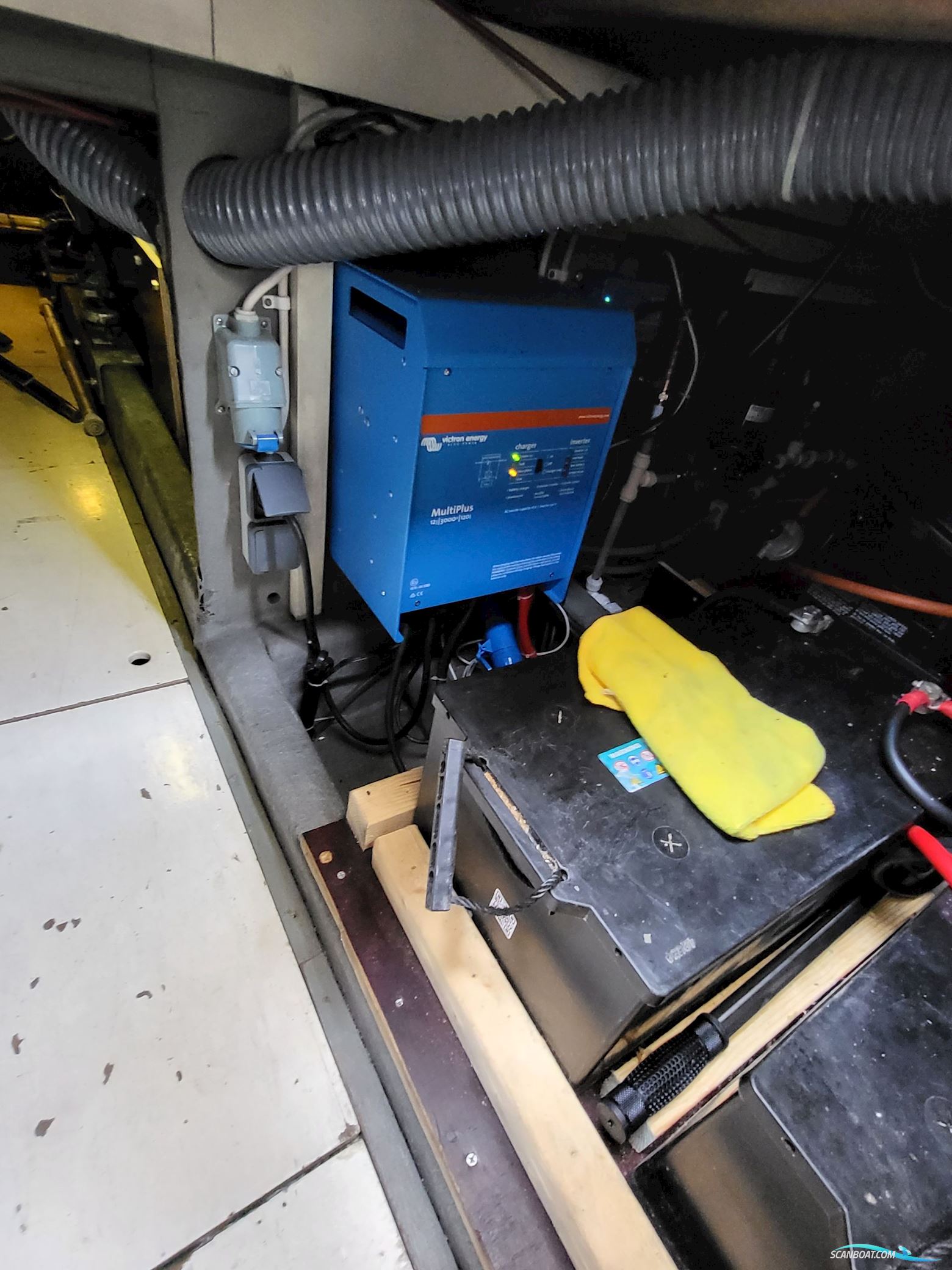 Birchwood ts 37 Höst pris innan upptagning