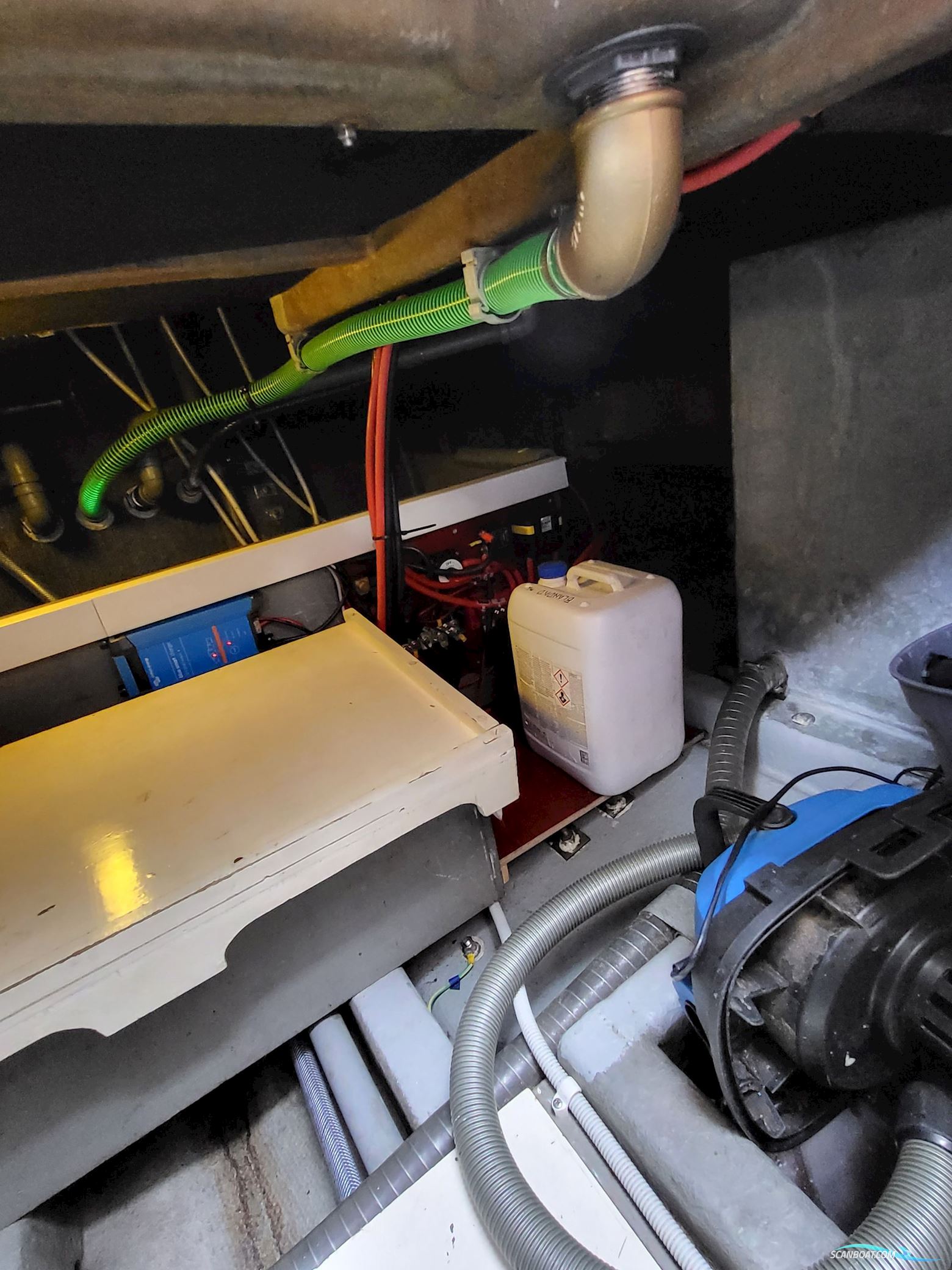 Birchwood ts 37 Höst pris innan upptagning