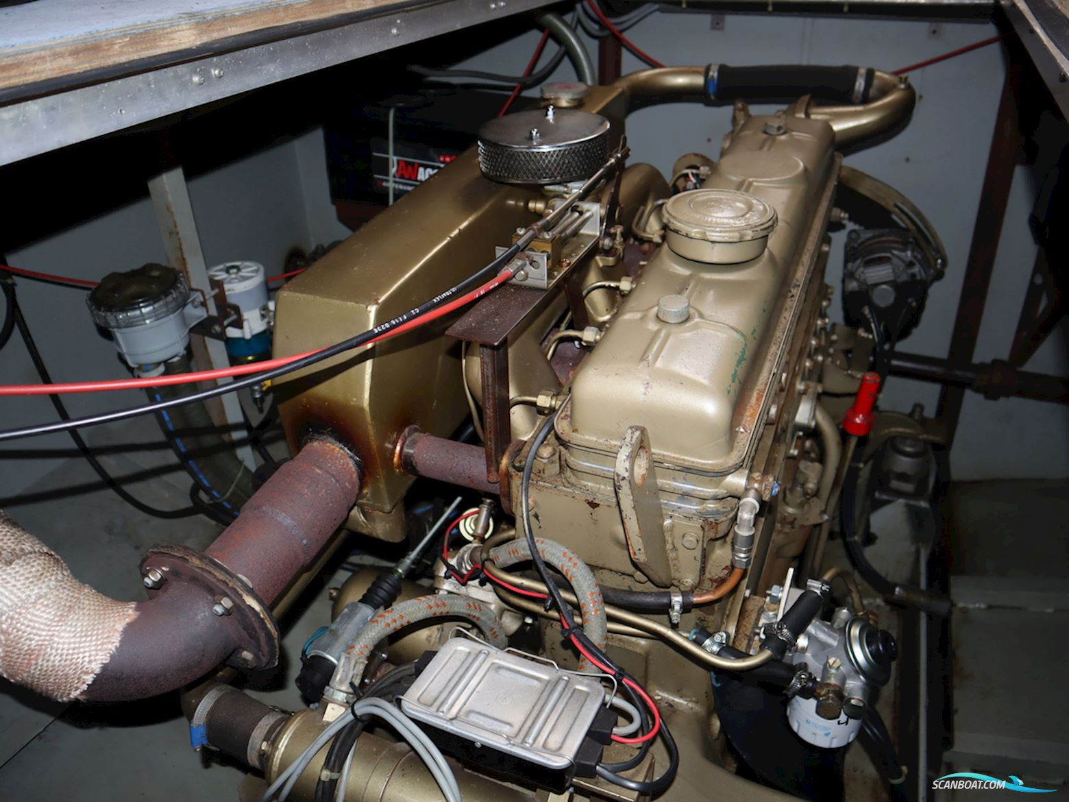 Blauwe Kruisvaarder 12.5