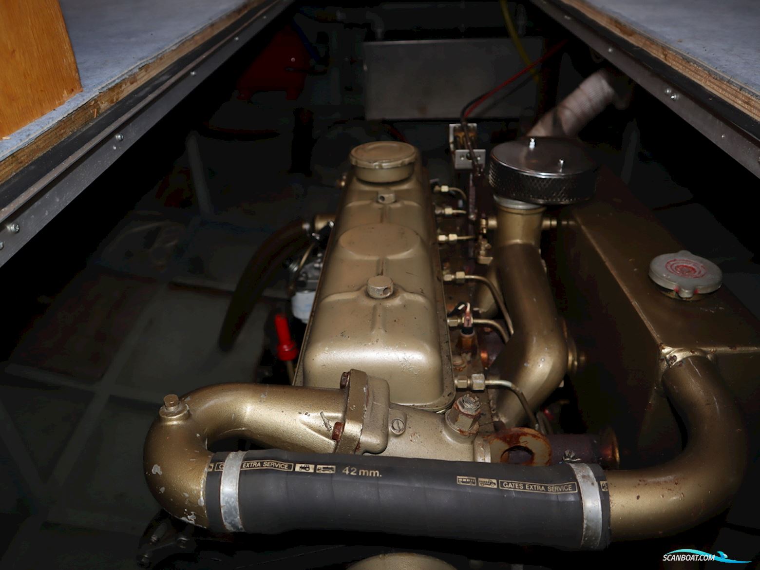 Blauwe Kruisvaarder 12.5