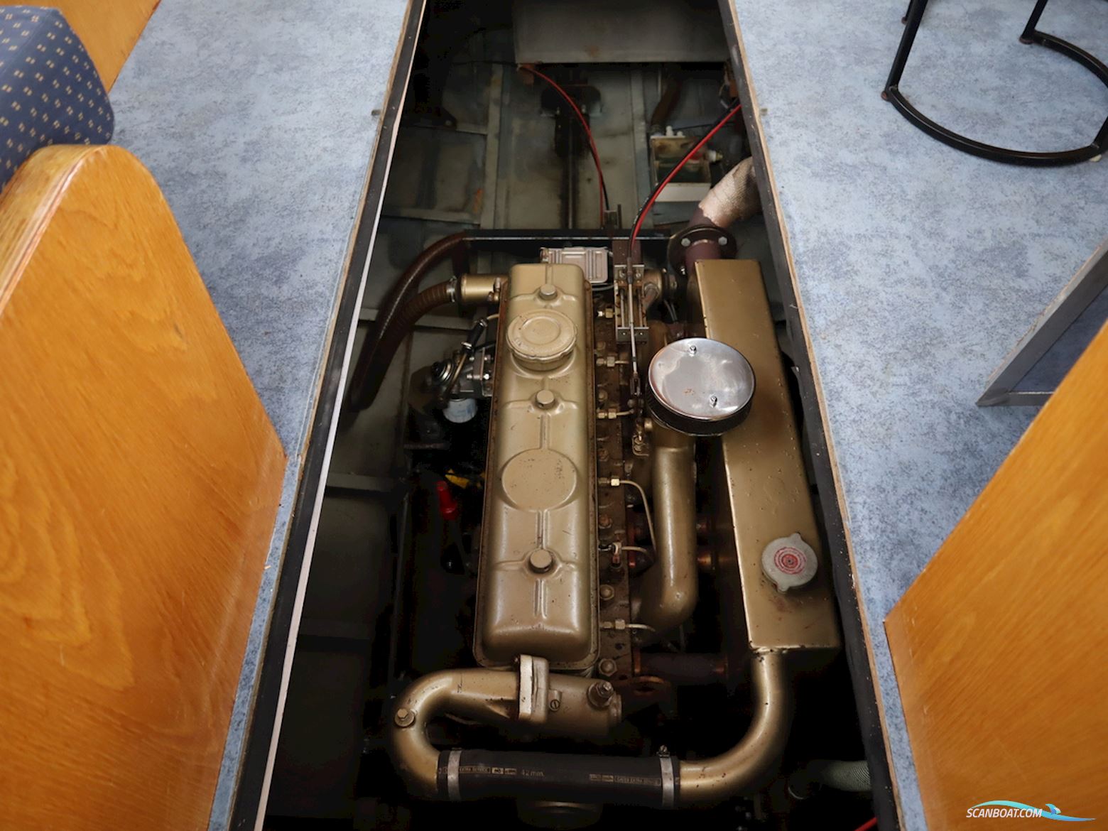 Blauwe Kruisvaarder 12.5